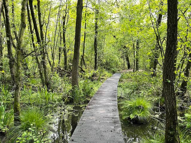 Het Schuitwater - Image 1