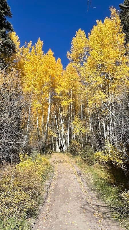 Ice Park Loop - Image 1