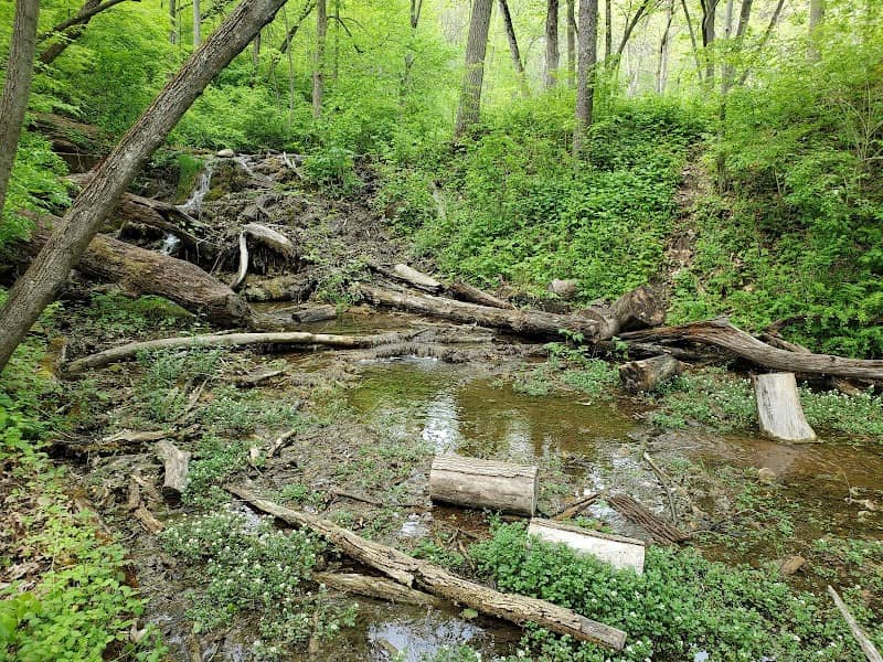 Fox Bluff Conservation Area - Image 1
