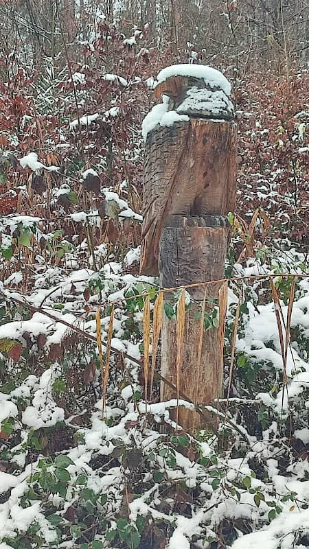 Woodartroad: Eagle - Image 1
