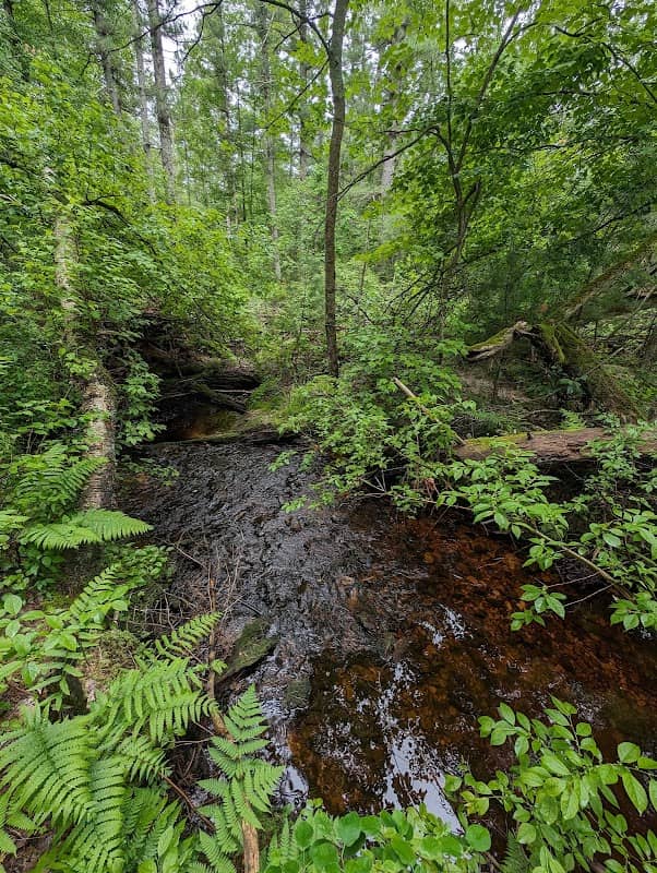 Upper Black River State Natural Area - Image 1