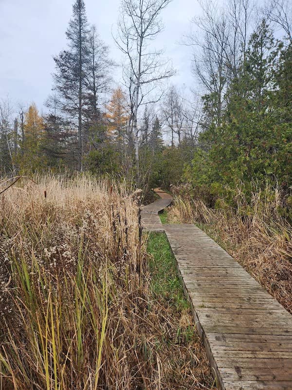 King City Trail - Image 1
