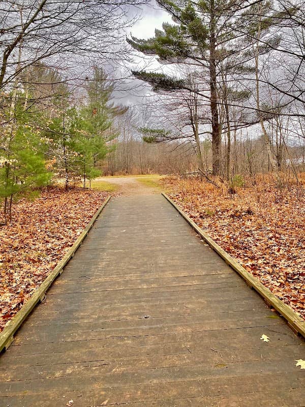 Black Lake Park - Image 2