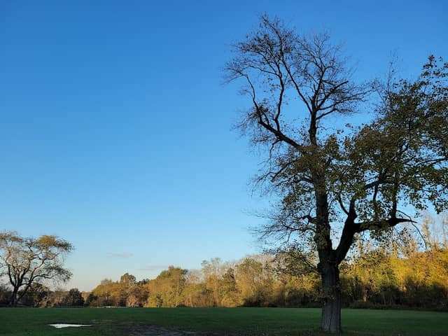 Muttontown Preserve Equestrian Center - Image 1