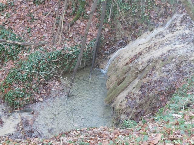 Fosso dei Forlani - Image 2