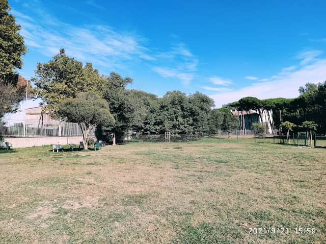 Area Cani - Dog Park - Image 2