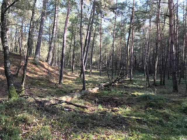 Twintig Bunder (Nationaal Park Veluwezoom) - Image 1