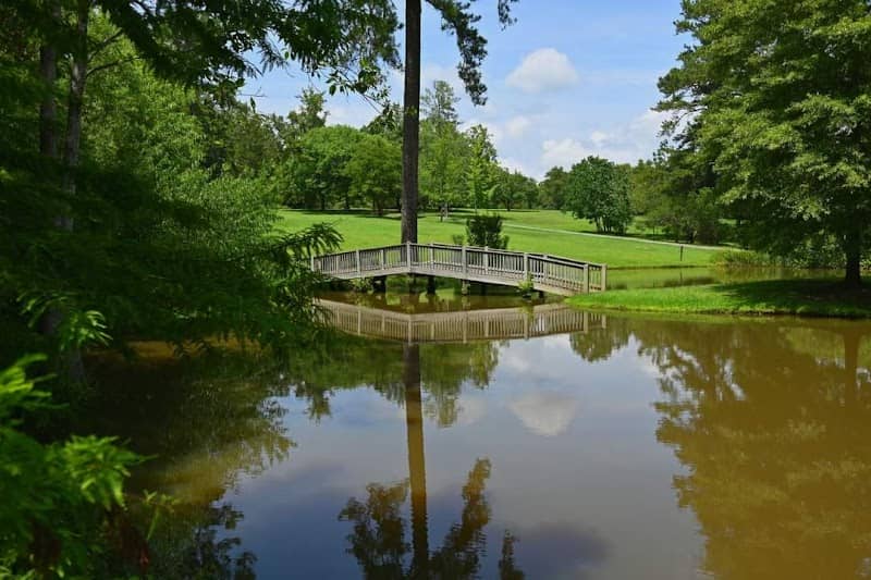 Lockerly Arboretum - Image 1