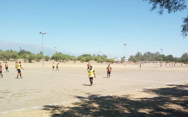 las Palmeras Park - Image 1