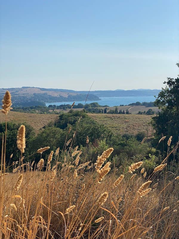 Monte Mentuccia - Image 1