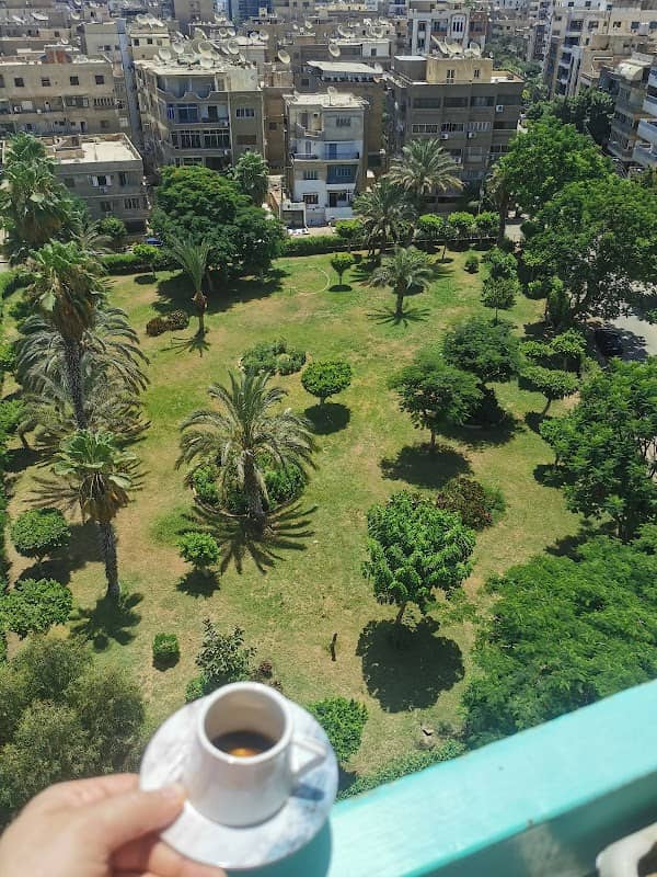 Sobhy Fahmy Park - Image 1