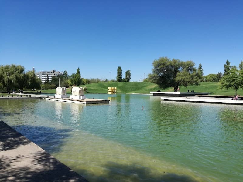 Lago del Parque Central - Image 2