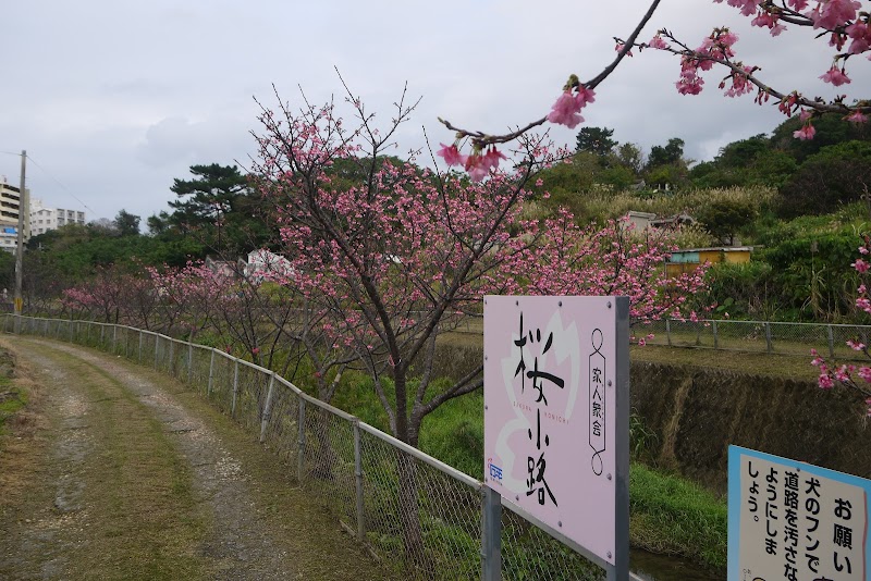 Ishinda Sakura Alley - Image 3