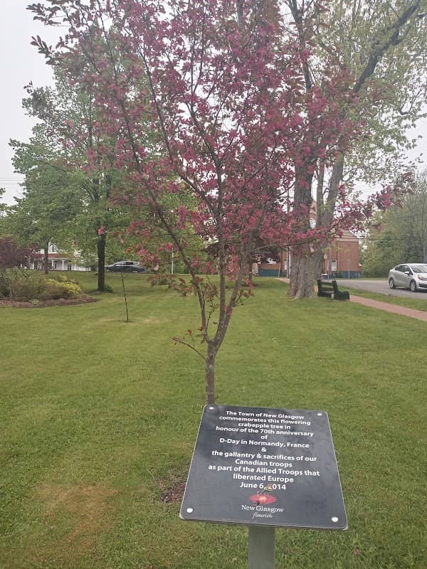 Laurie Peace Park - Image 1