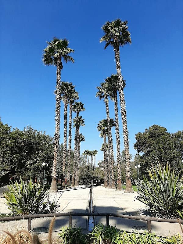 Bernardo Leighton Park - Image 3