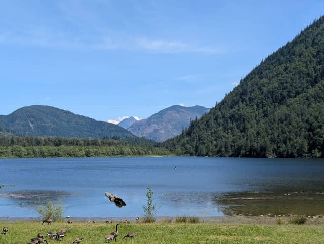Deer Lake - Image 1