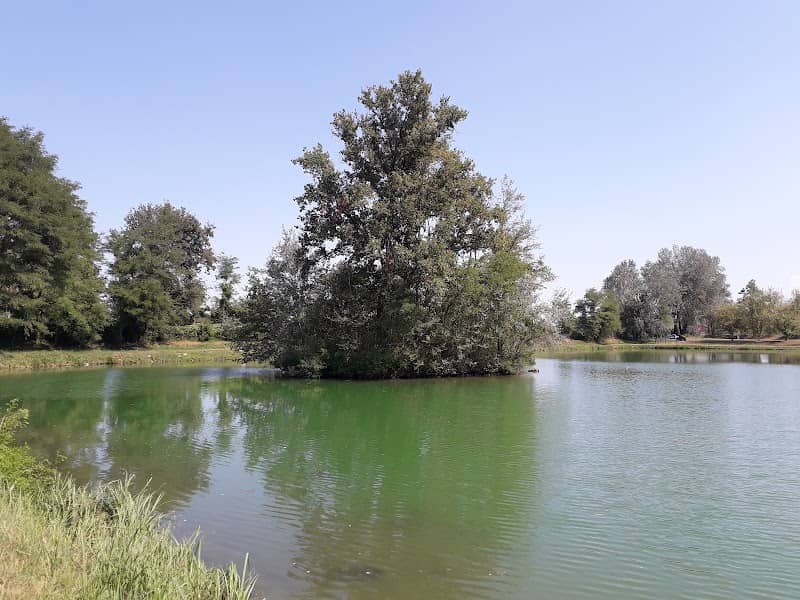 Laghetto del Bosco dei Roveri - Image 1