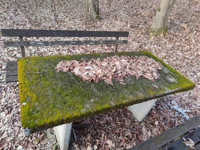 Holnsteiner Quelle - Image 2