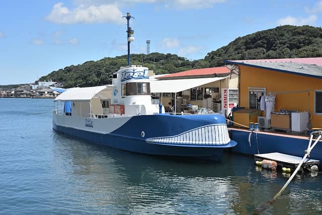 Marinepal Yobuko - Image 1