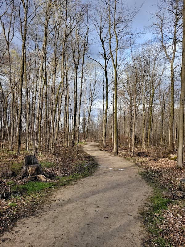 Schmidt Woods - Image 1