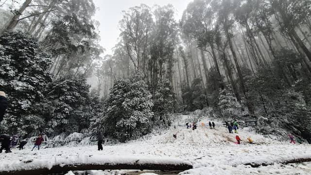 10 Mile Picnic Area - Image 1