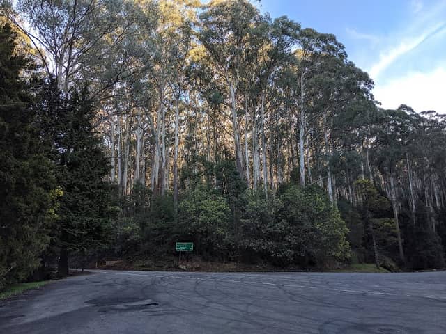 10 Mile Picnic Area - Image 2