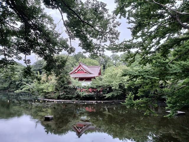 井の頭公園アートマーケッツ水生物園入り口会場 - Image 1