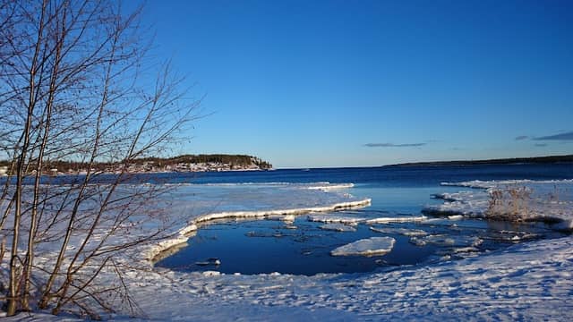Skogsgläntan vandringsområde - Image 1