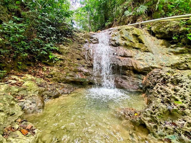 Cascada del prieto - Image 1