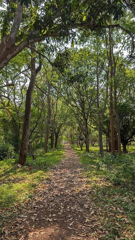 Botanical Garden KUD - Image 1