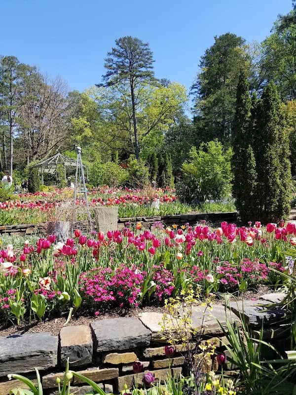 Sarah P. Duke Gardens - Image 1