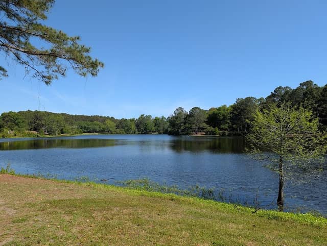 Jarvis Creek Park - Image 3