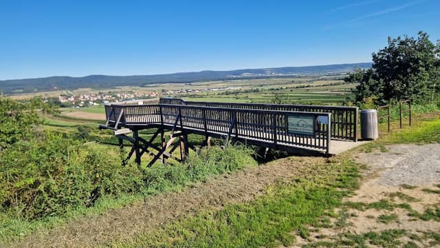 Skywalk - Image 1