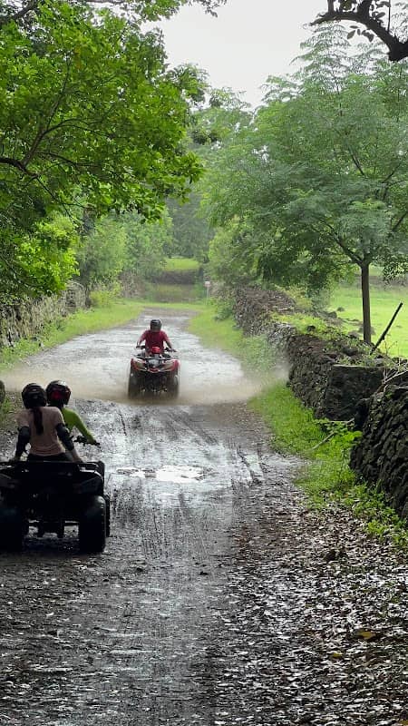 Wildtrack Adventure - Image 1