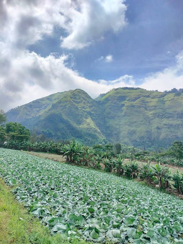 Sukapura/probolinggo - Image 1