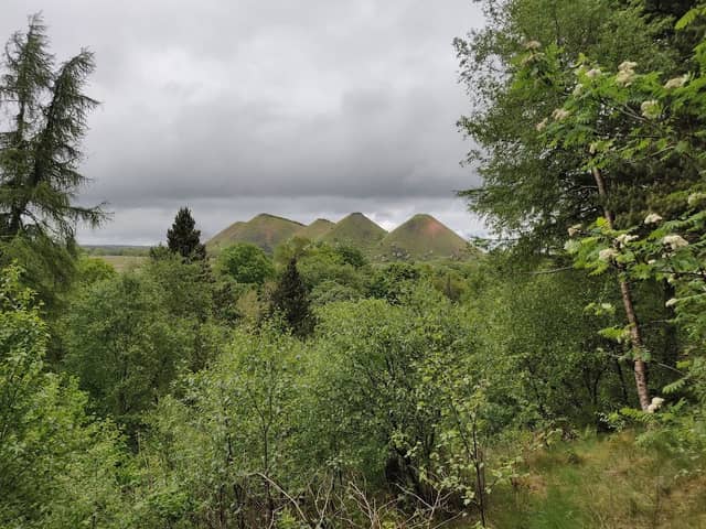 Addiewell Bing Nature Reserve - Image 1