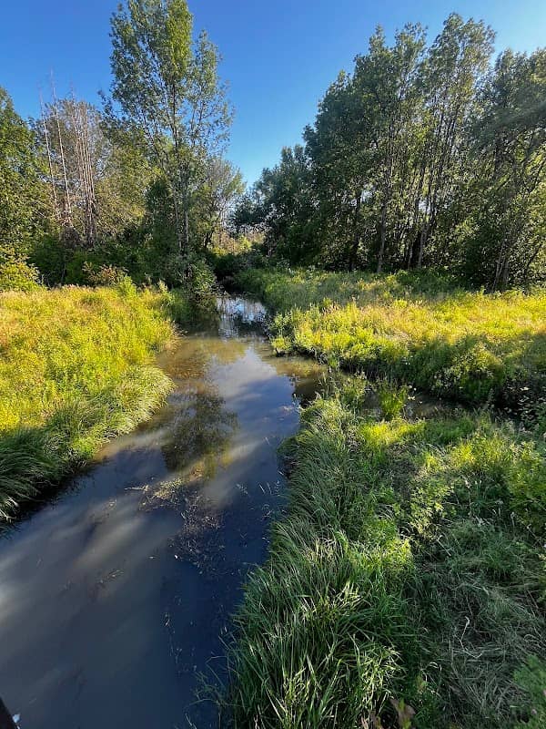 Fanno Creek Greenway Bridge - Image 1