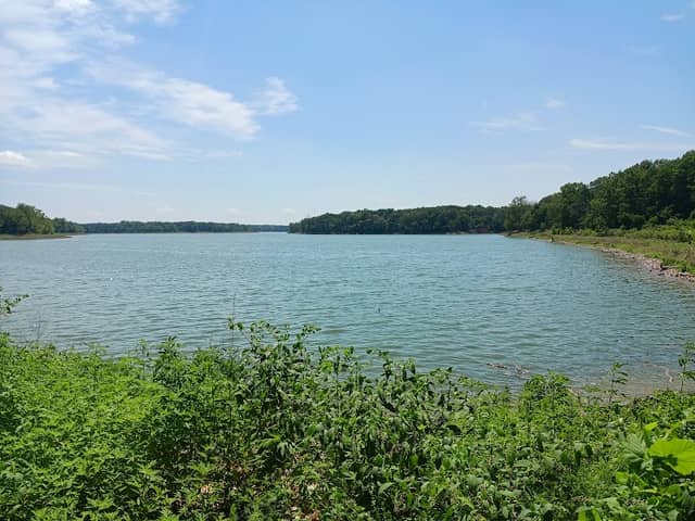 Chimney Rock Hollow - Image 1
