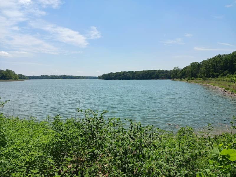 Chimney Rock Hollow - Image 1