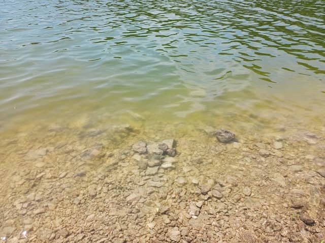 Chimney Rock Hollow - Image 2