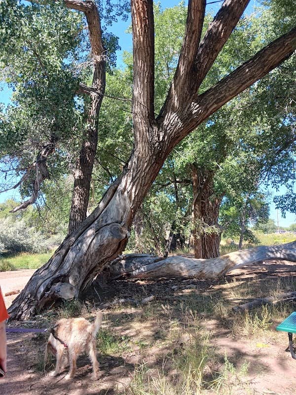 Roosevelt Nature Park & Cottonwood Creek Trail - Image 3