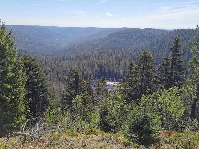 Wildseeblick - Image 1