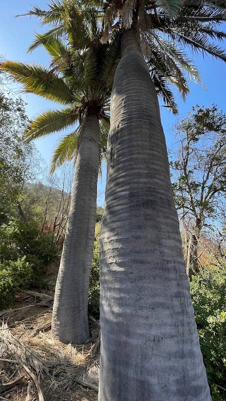 La Campana Ocoa National Park - Image 3