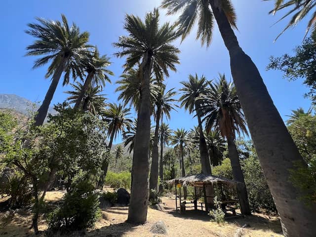 La Campana Ocoa National Park - Image 2