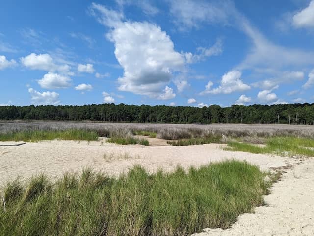 Hughlett Point Natural Area Preserve - Image 1