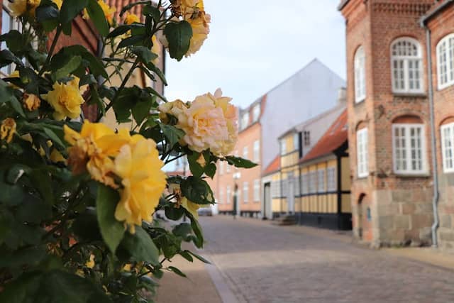Domkirkekvarteret i Viborg - Image 3