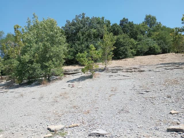 Trammel Fossil Park - Image 1
