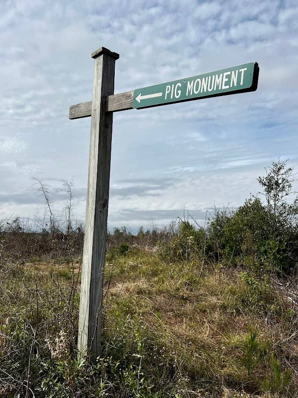 Pig Monument - Image 1