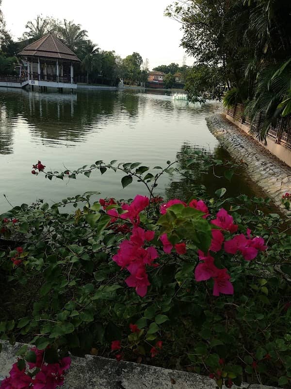 Fish Pond - Image 1