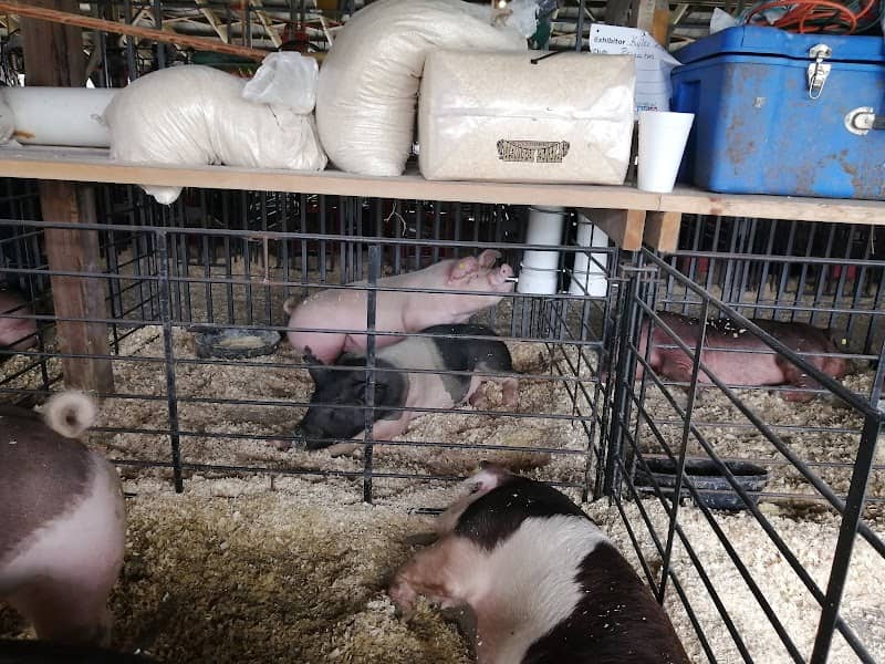 White County Fairgrounds - Image 1